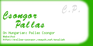 csongor pallas business card